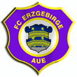 Aue_Erzgebirge_FC
