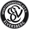saar_Elversberg_SV